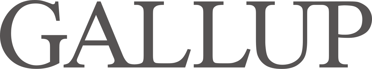 Brand 5